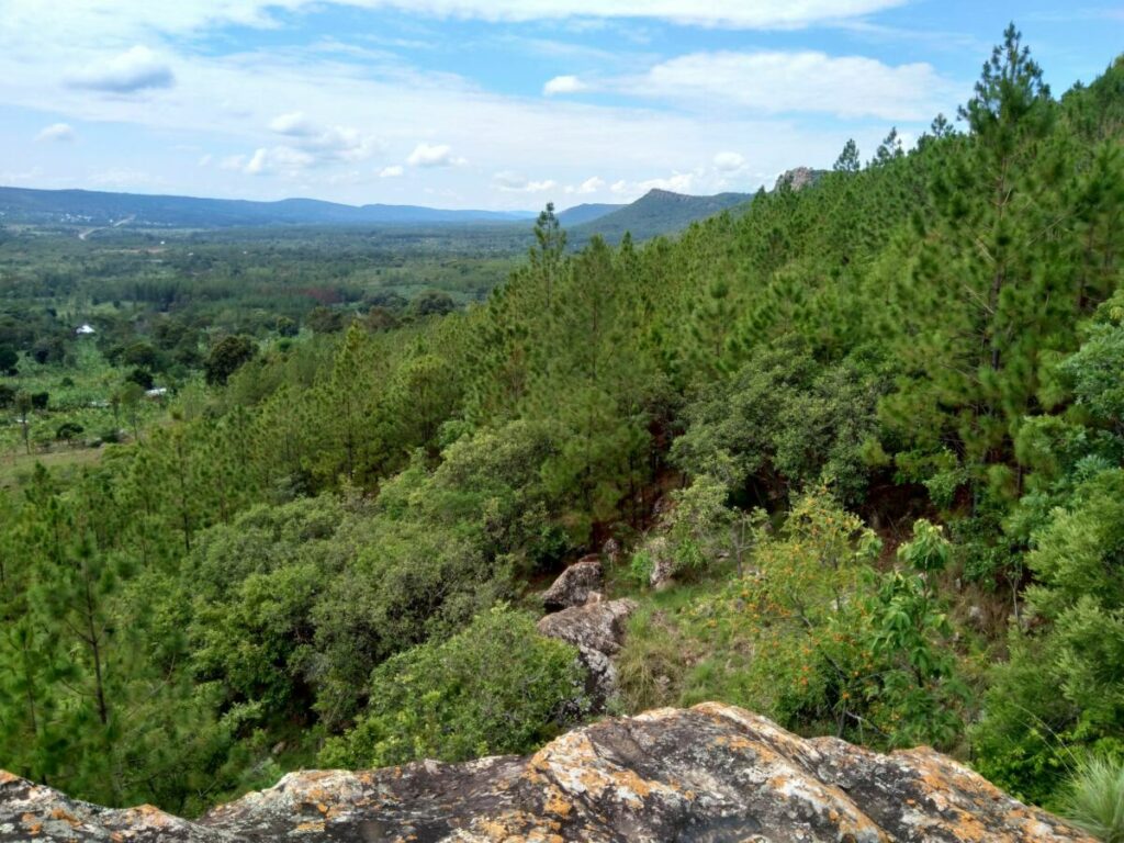 Nyamahanga hill